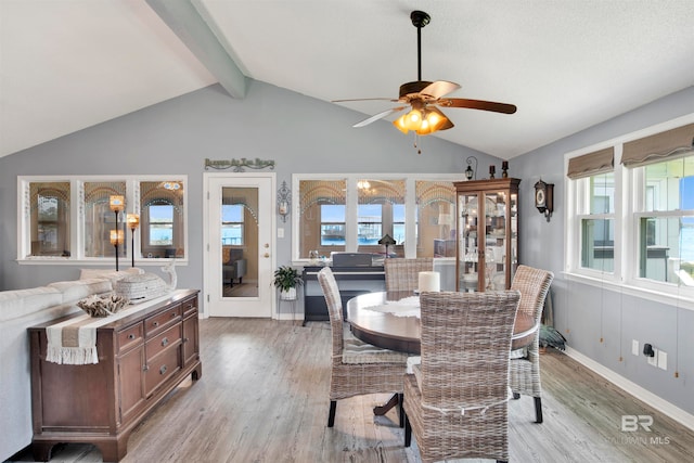 dining room featuring a wealth of natural light, ceiling fan, vaulted ceiling with beams, and light hardwood / wood-style floors