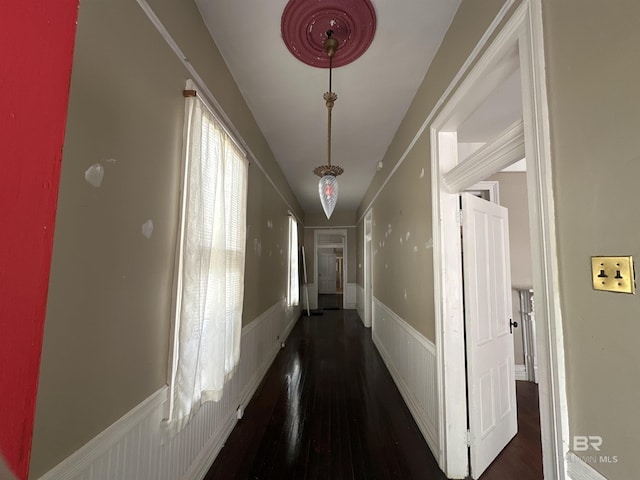 corridor featuring dark wood-type flooring