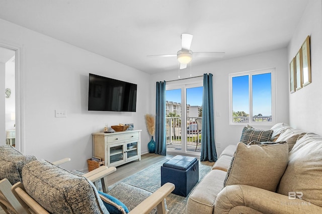 living room featuring ceiling fan and hardwood / wood-style flooring