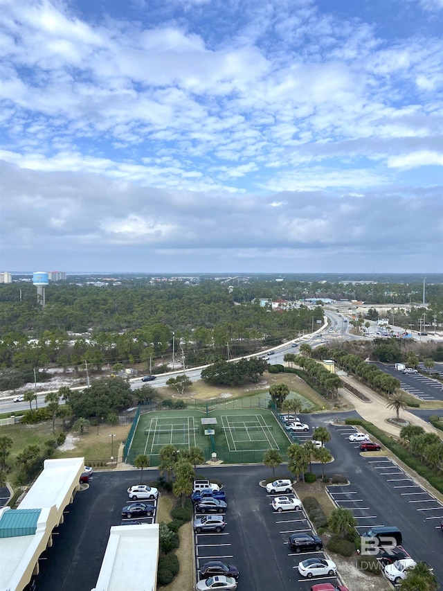 bird's eye view