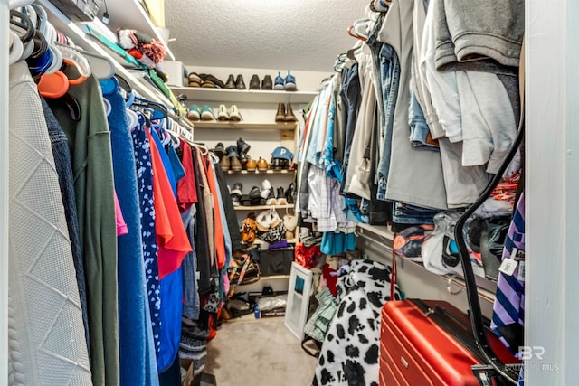 walk in closet with carpet flooring