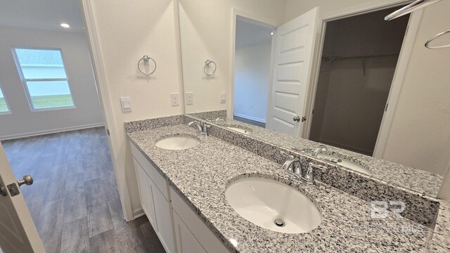 bathroom with hardwood / wood-style flooring and vanity