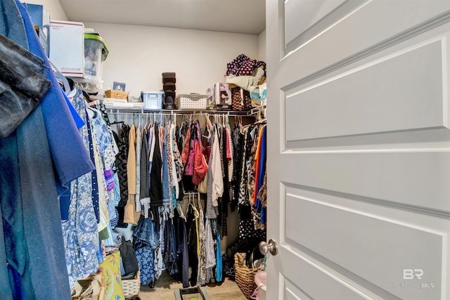 view of spacious closet