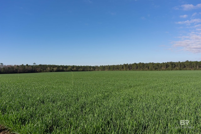 0000 E Gardner Rd, Elberta, AL 36530