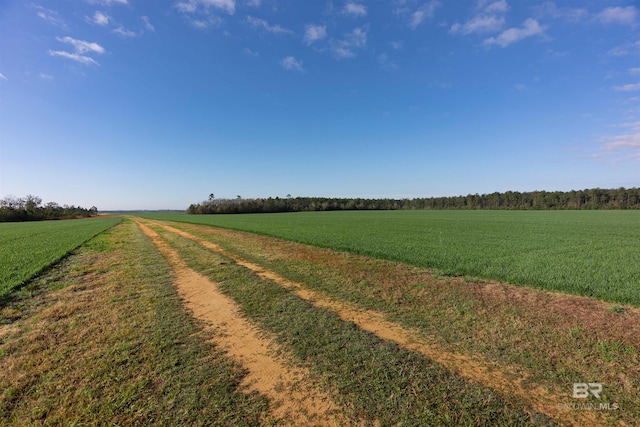 0000 E Gardner Rd, Elberta, AL 36530