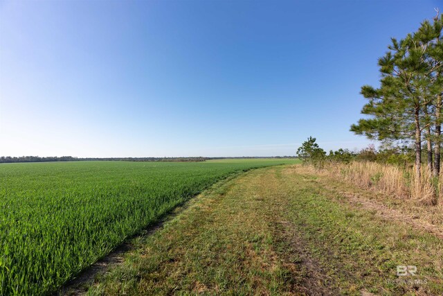 0000 E Gardner Rd, Elberta, AL 36530
