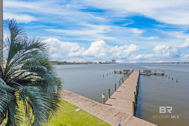 dock area featuring a water view