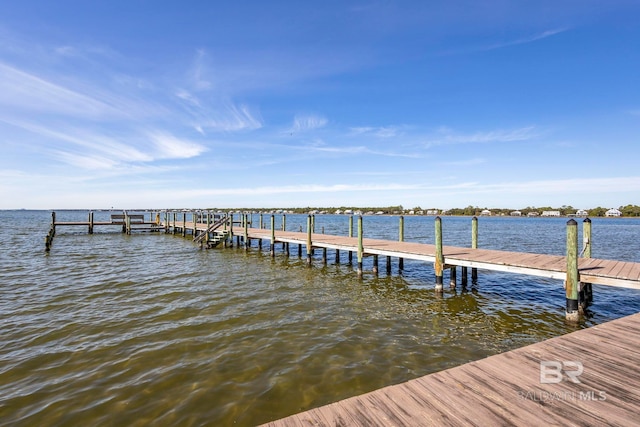 dock area with a water view