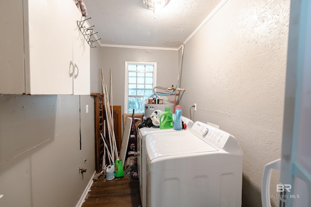 washroom with cabinets, ornamental molding, and dark wood-type flooring