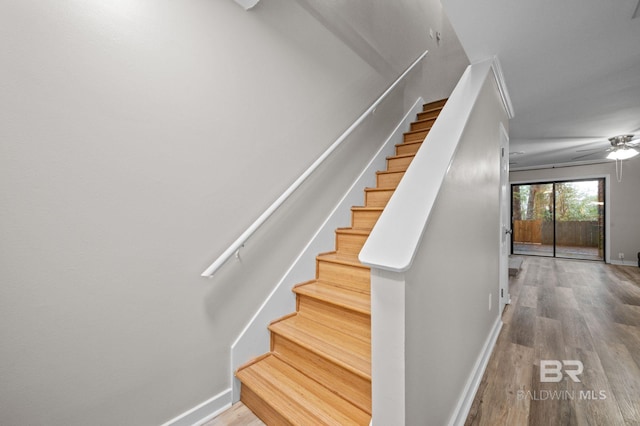 stairs with hardwood / wood-style flooring and ceiling fan