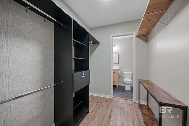 walk in closet featuring wood-type flooring