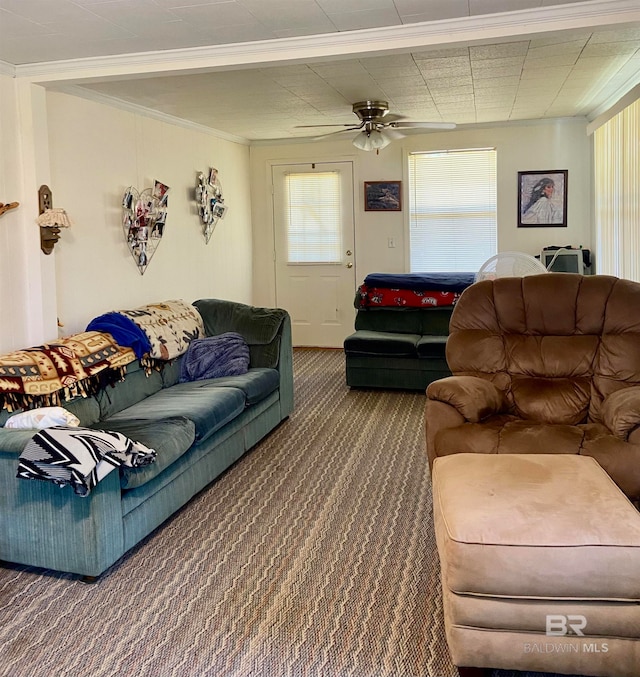 living room with carpet flooring, ceiling fan, and crown molding