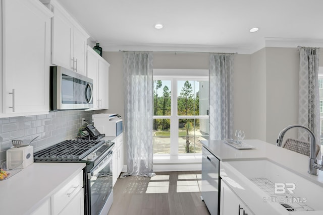 kitchen featuring a sink, light countertops, a healthy amount of sunlight, and stainless steel appliances