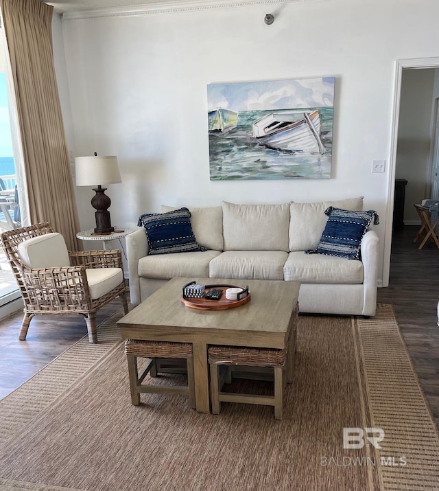 living room featuring wood finished floors