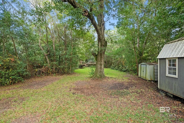 view of yard with a storage shed