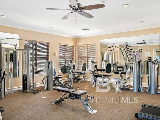 gym with carpet floors and ceiling fan