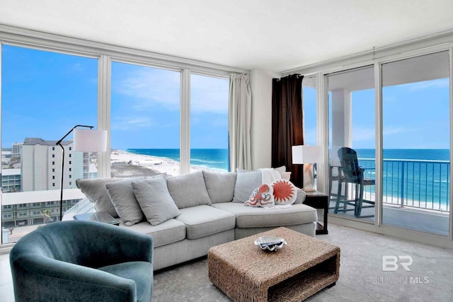 living area with a water view and healthy amount of natural light