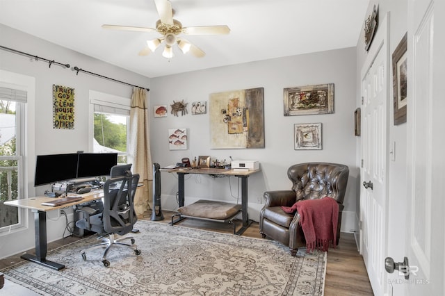 office area with ceiling fan, a wealth of natural light, and wood-type flooring