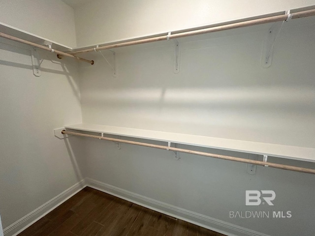 walk in closet featuring dark wood-type flooring