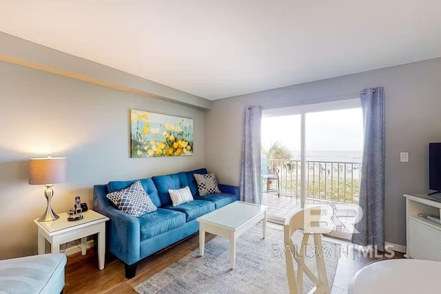 living room featuring hardwood / wood-style flooring