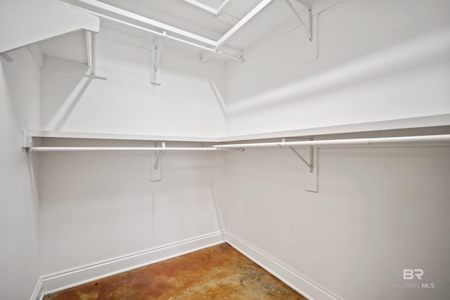 view of spacious closet