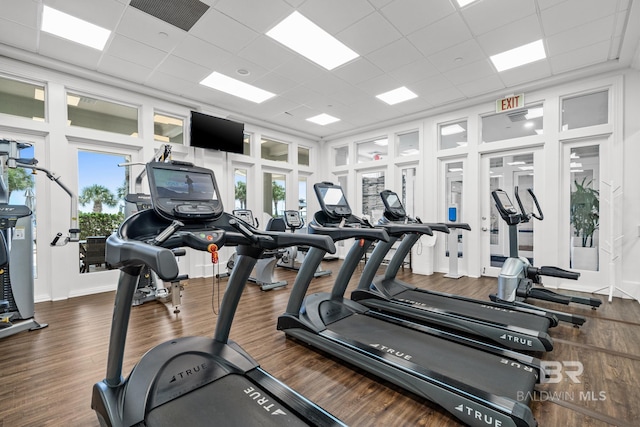 workout area with a wealth of natural light, a drop ceiling, and wood finished floors