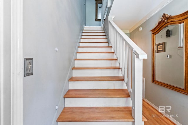 stairs featuring wood-type flooring