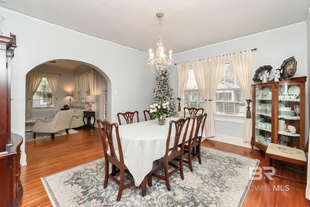 dining space featuring an inviting chandelier, a healthy amount of sunlight, and hardwood / wood-style floors