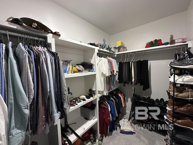 3872 Stafford Blvd, Gulf Shores, AL 36542 - spacious closet with carpet floors