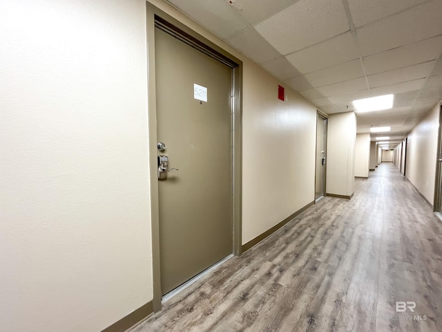 hallway featuring light wood-type flooring and a drop ceiling