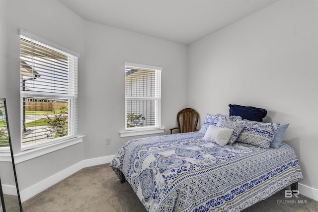 9983 Willet Way, Foley, AL 36535 - carpeted bedroom featuring multiple windows