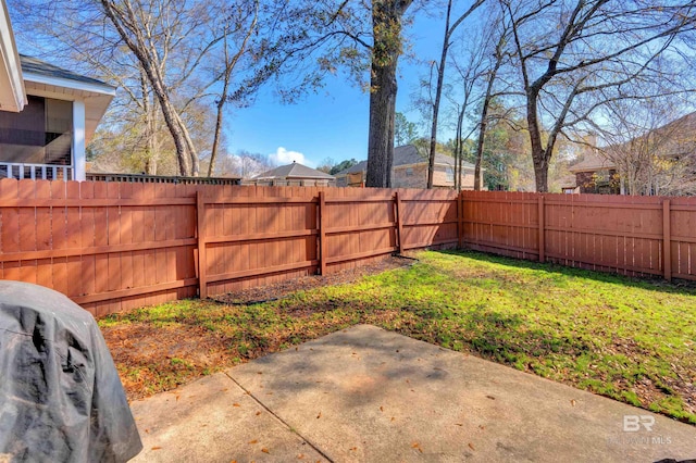 view of yard featuring a patio area