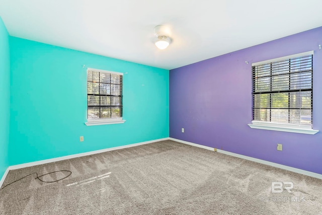 spare room with carpet flooring and a wealth of natural light