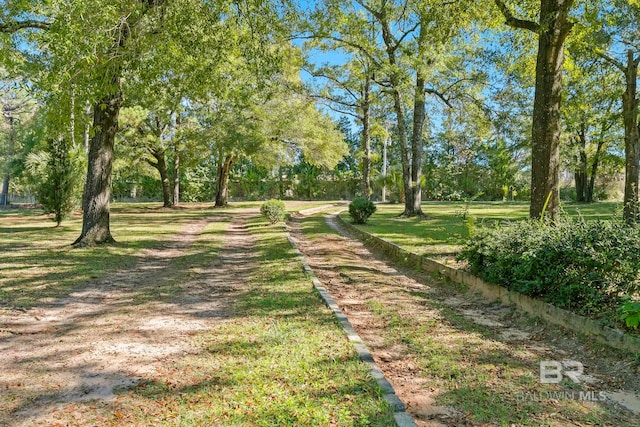 view of surrounding community