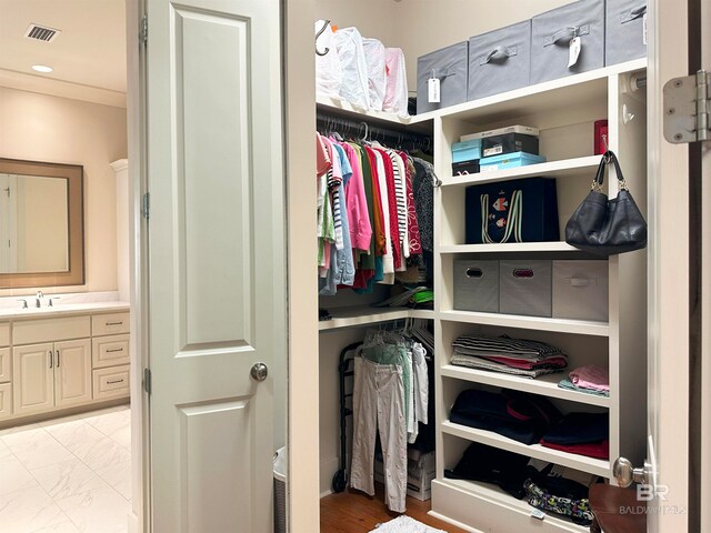 closet with sink