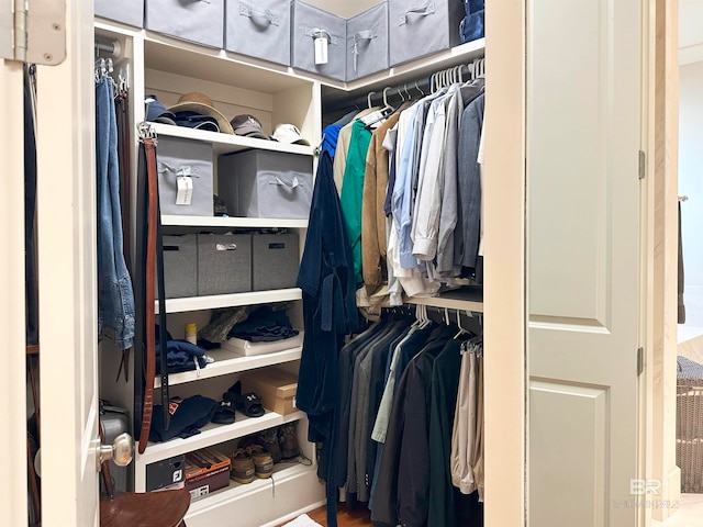 view of spacious closet