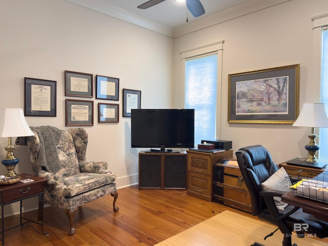 office space featuring light wood-type flooring and ceiling fan