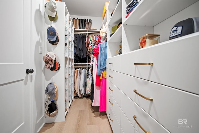 spacious closet with light hardwood / wood-style floors