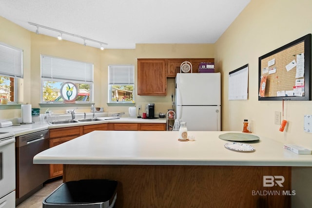 kitchen featuring white fridge, a healthy amount of sunlight, dishwasher, and sink