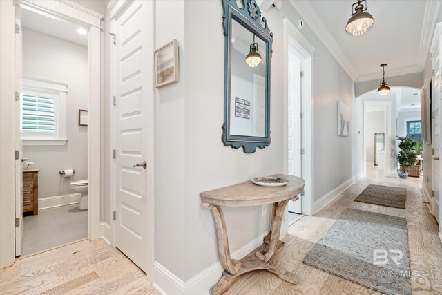 hallway featuring hardwood / wood-style floors and ornamental molding