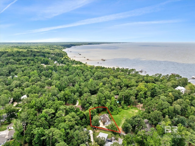 bird's eye view with a water view