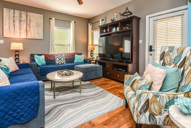 living room featuring wood-type flooring and ceiling fan