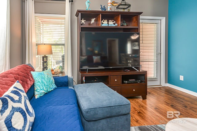 living room featuring wood-type flooring