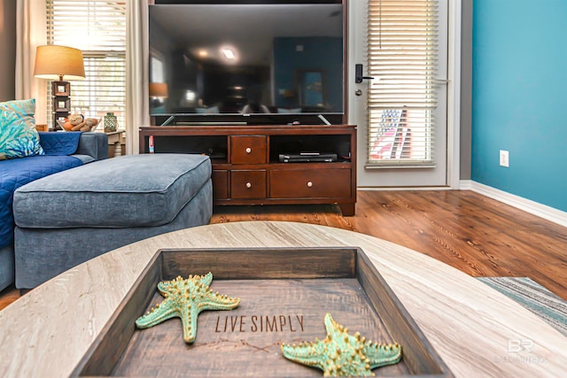 living room with hardwood / wood-style floors