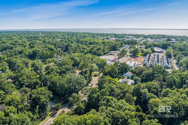 606 Fairhope Ave, Fairhope, AL 36532 - aerial overview of property's location featuring a forest