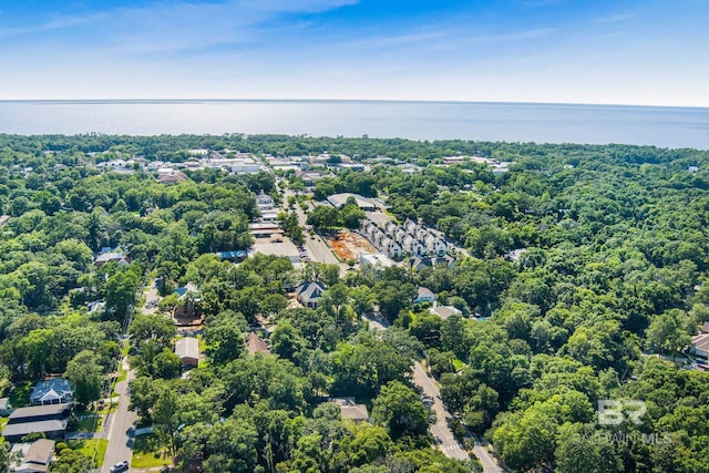 606 Fairhope Ave, Fairhope, AL 36532 - aerial view