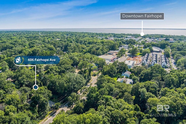 606 Fairhope Ave, Fairhope, AL 36532 - bird's eye view of a forest