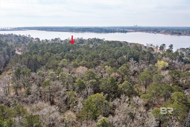 Listing photo 3 for 0 River Forest Dr, Mobile AL 36605