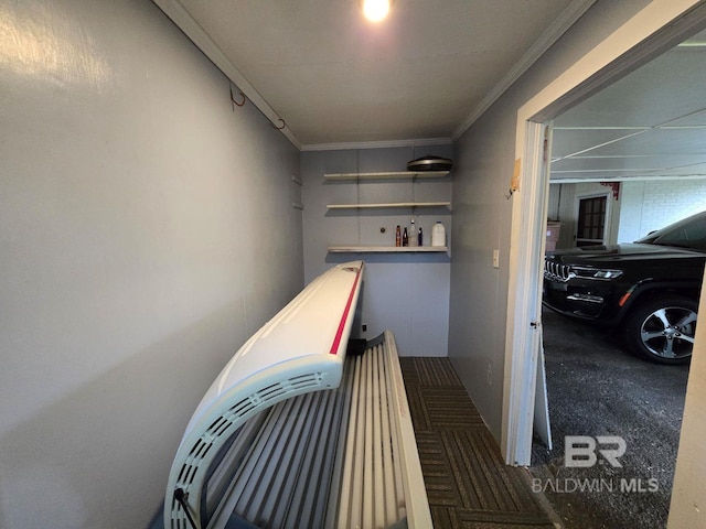 interior space with crown molding and carpet