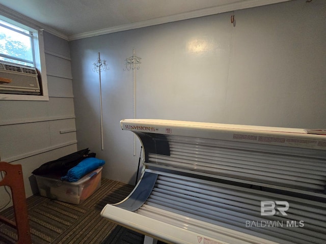 1411 Mcmillan Ave, Brewton, AL 36426 - misc room featuring crown molding, a tanning bed, and cooling unit